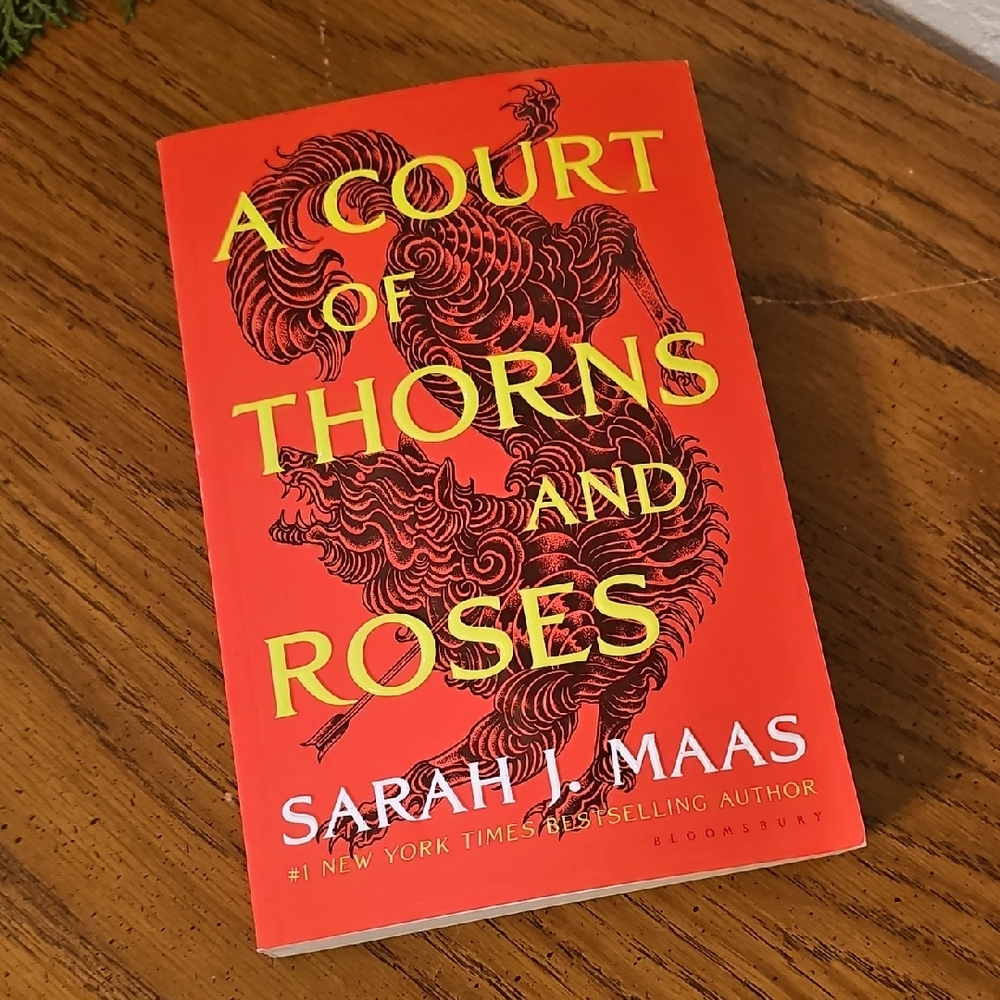 A Court of Thorns and Roses Book BNWOT Recieved as a gift Fantasy Elf Erotica